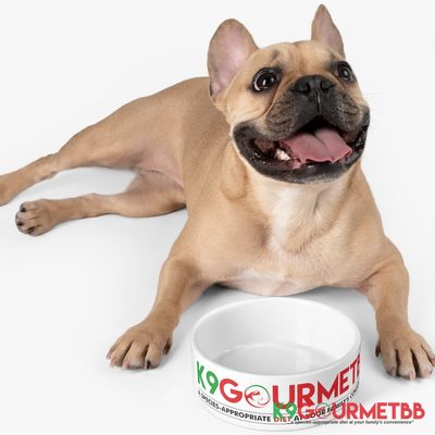 K9GourmetBB Feeding Bowl